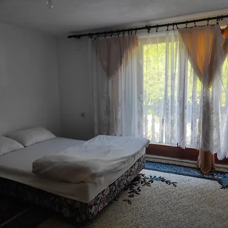 Villa Dzanan
